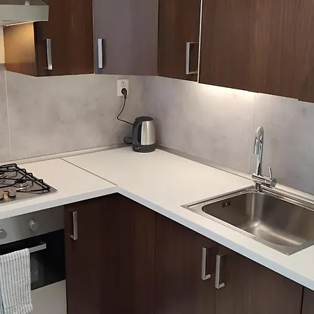 Big And Sunny With Great Acces To Center 公寓 *