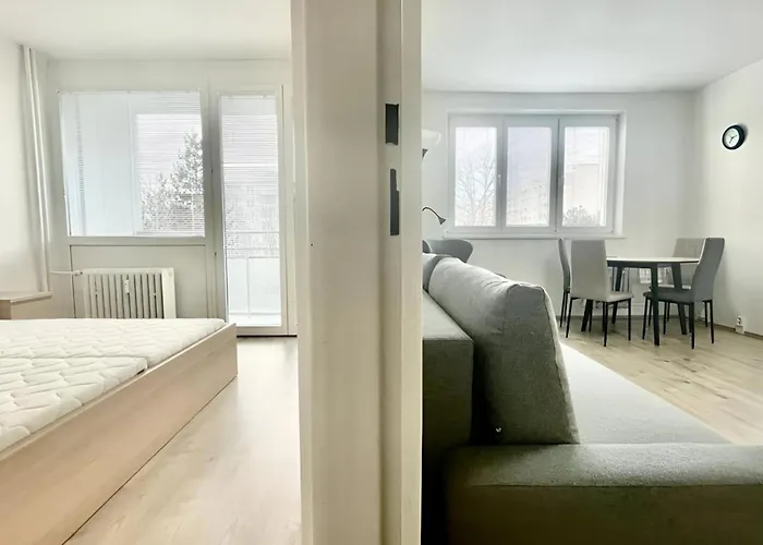 Big And Sunny With Great Acces To Center Lejlighed *