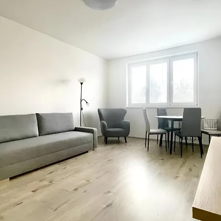 Big And Sunny With Great Acces To Center Apartmán