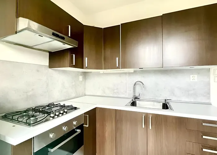 Big And Sunny With Great Acces To Center *